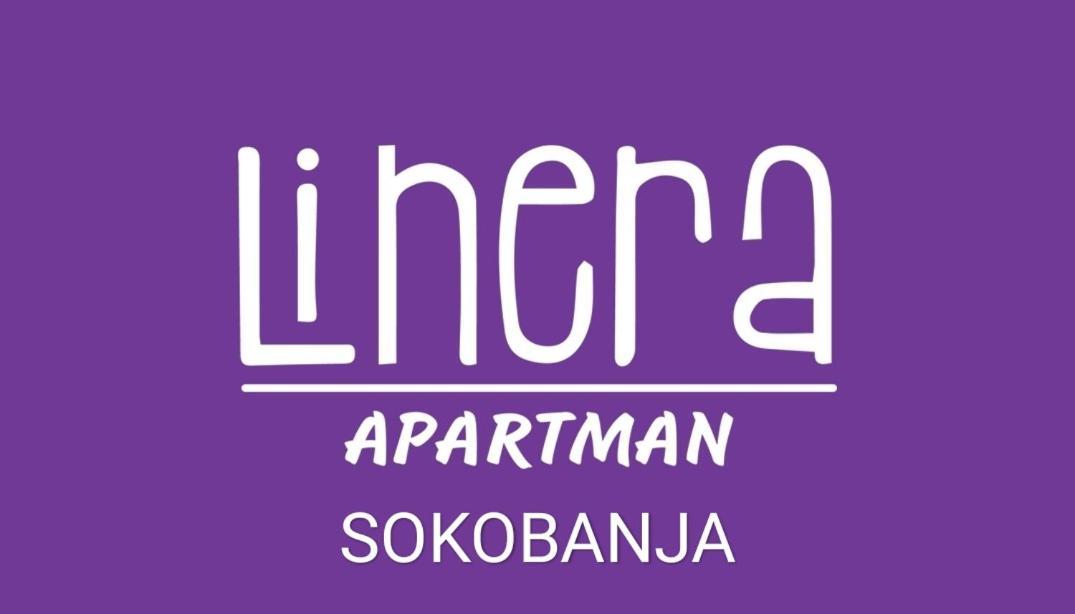 Apartman Linera 소코 반자 외부 사진
